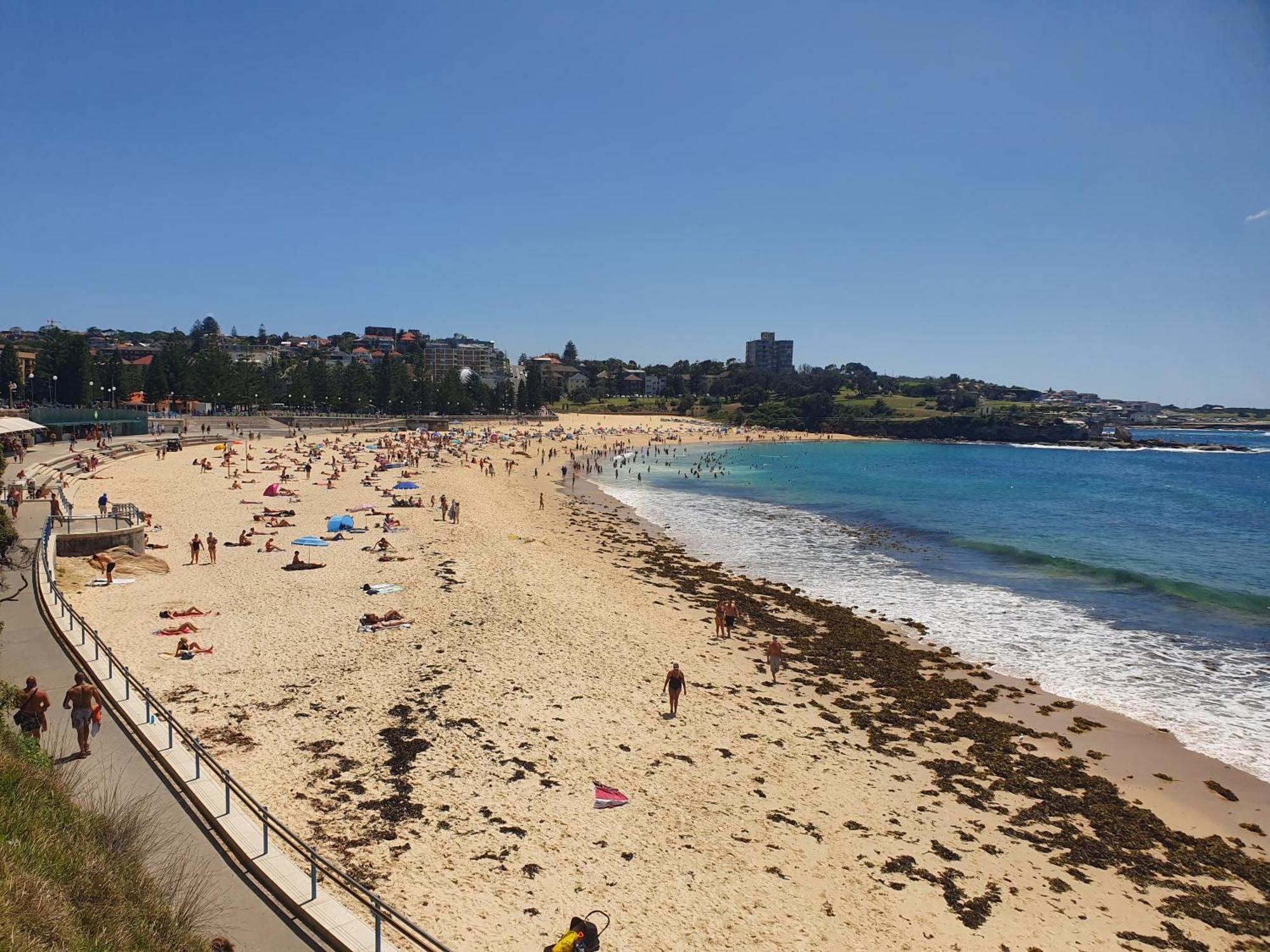 Podbed Coogee Beachside 悉尼 外观 照片